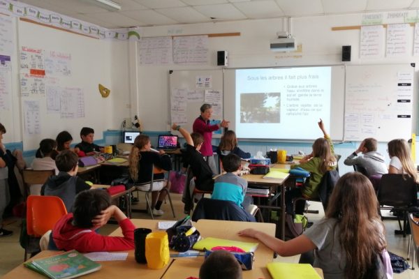 atelier segou arbre 1 atelier segou arbre 1