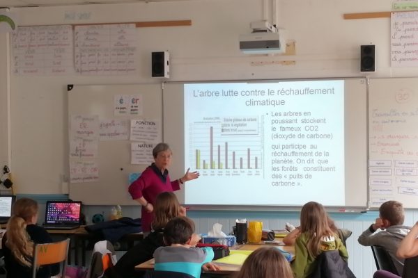 atelier segou arbre 4 atelier segou arbre 4