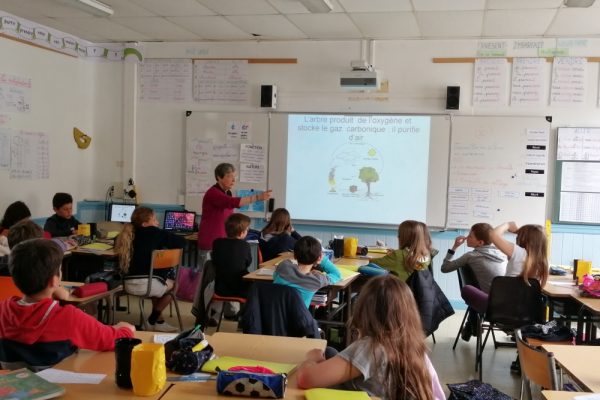 atelier segou arbre 5 atelier segou arbre 5