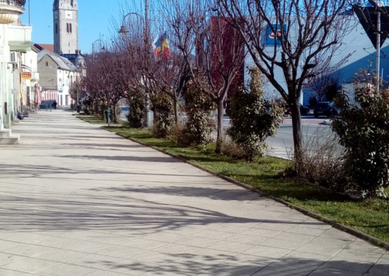 turda covid 1 turda covid 1